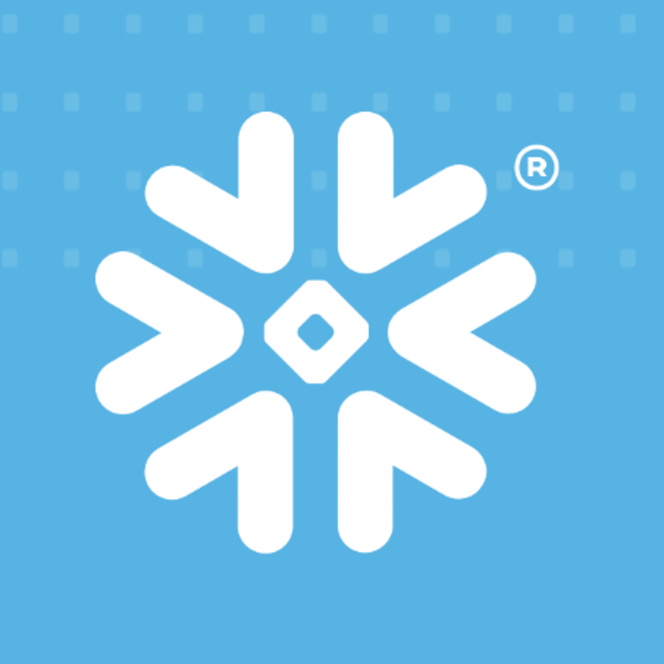 Snowflake User Groups SnowVillage | Snowflake user groups unite